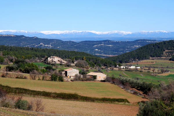 Torrebusqueta